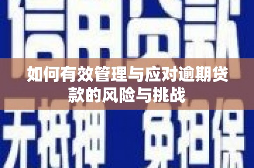 张家港如何有效管理与应对逾期贷款的风险与挑战