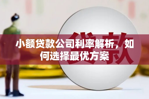 张家港小额贷款公司利率解析，如何选择最优方案