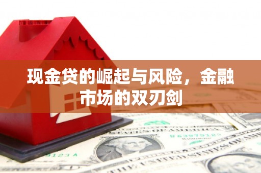 张家港现金贷的崛起与风险，金融市场的双刃剑