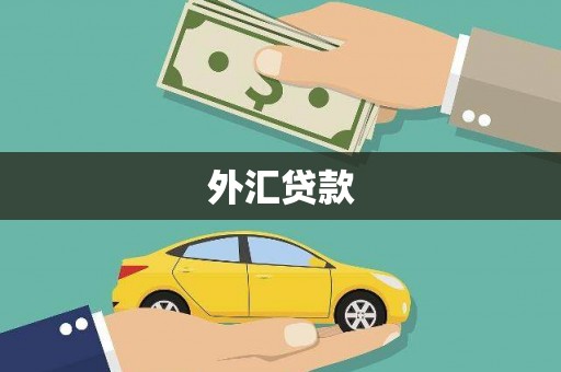张家港外汇贷款
