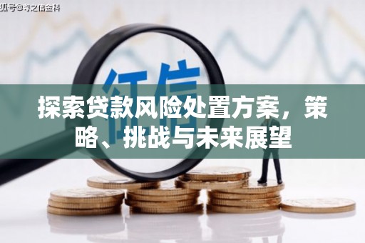 张家港探索贷款风险处置方案，策略、挑战与未来展望