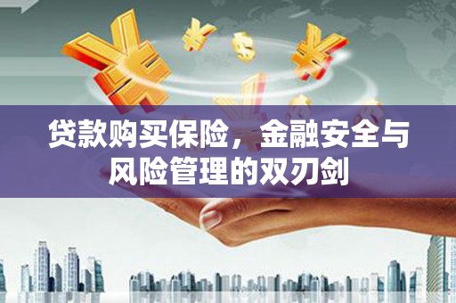 张家港贷款购买保险，金融安全与风险管理的双刃剑