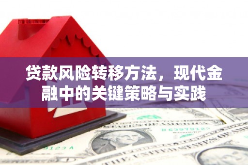 张家港贷款风险转移方法，现代金融中的关键策略与实践