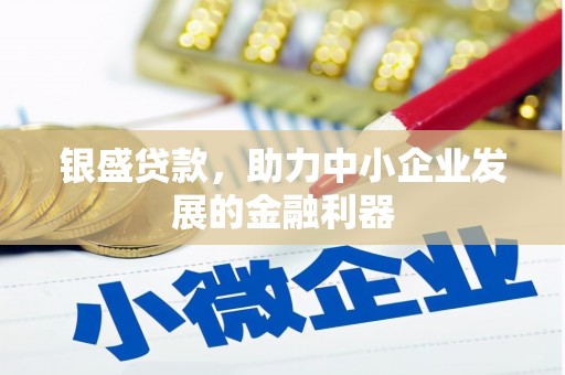 张家港银盛贷款，助力中小企业发展的金融利器
