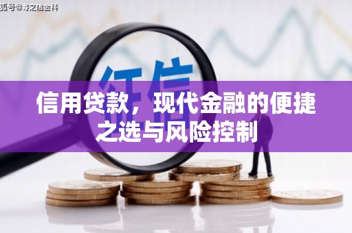 张家港信用贷款，现代金融的便捷之选与风险控制