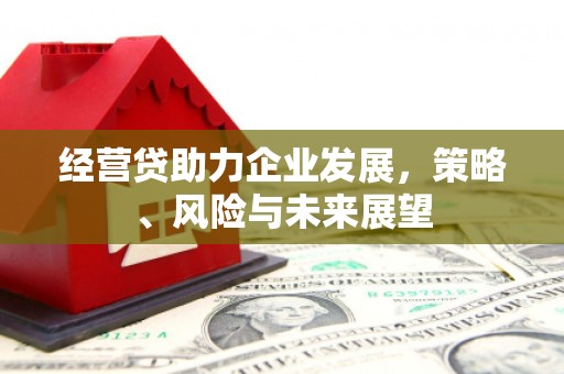 张家港经营贷助力企业发展，策略、风险与未来展望