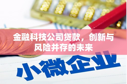 张家港金融科技公司贷款，创新与风险并存的未来