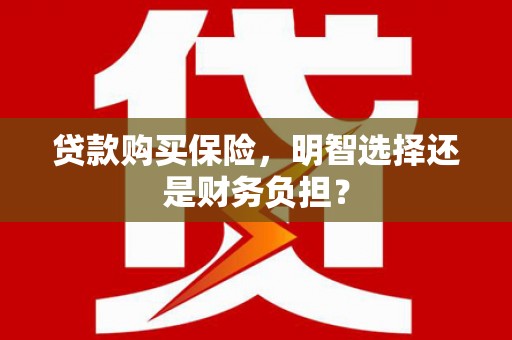 张家港贷款购买保险，明智选择还是财务负担？