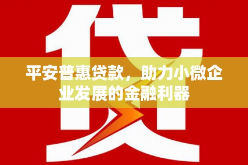 张家港平安普惠贷款，助力小微企业发展的金融利器
