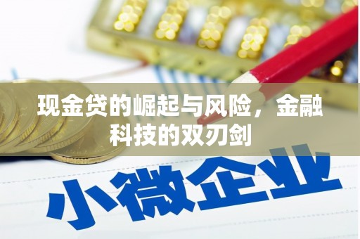张家港现金贷的崛起与风险，金融科技的双刃剑