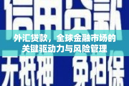 张家港外汇贷款，全球金融市场的关键驱动力与风险管理