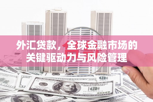 张家港外汇贷款，全球金融市场的关键驱动力与风险管理