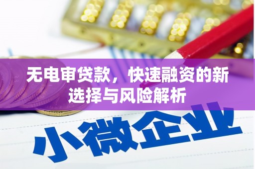 张家港无电审贷款，快速融资的新选择与风险解析