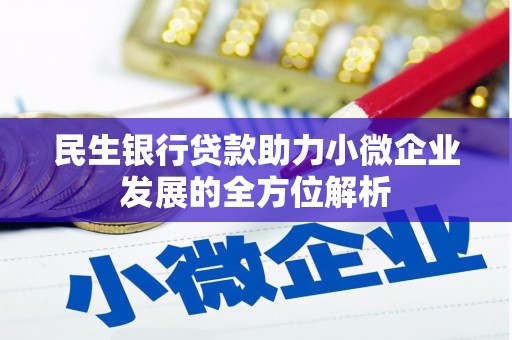 张家港民生银行贷款助力小微企业发展的全方位解析