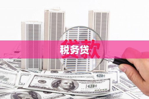 张家港税务贷