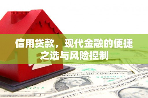 张家港信用贷款，现代金融的便捷之选与风险控制