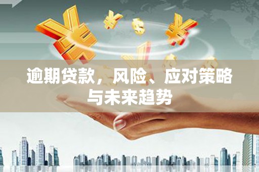 张家港逾期贷款，风险、应对策略与未来趋势