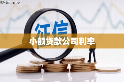 张家港小额贷款公司利率