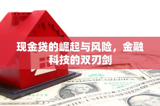 张家港现金贷的崛起与风险，金融科技的双刃剑