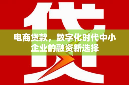 张家港电商贷款，数字化时代中小企业的融资新选择