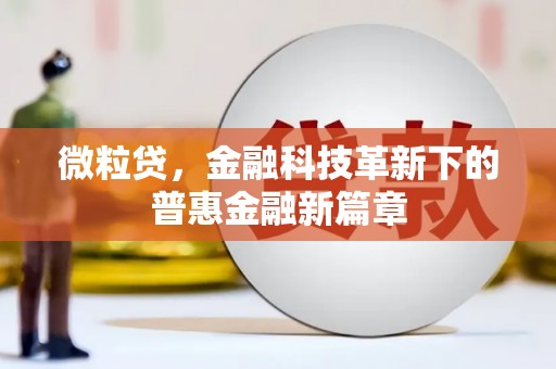 张家港微粒贷，金融科技革新下的普惠金融新篇章