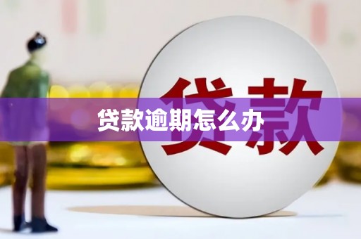 张家港贷款逾期怎么办