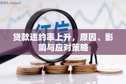 张家港贷款违约率上升，原因、影响与应对策略