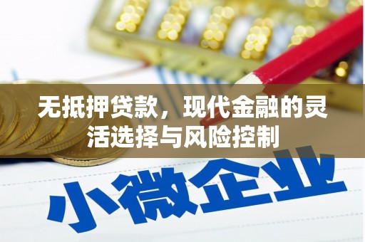 张家港无抵押贷款，现代金融的灵活选择与风险控制