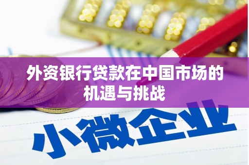 张家港外资银行贷款在中国市场的机遇与挑战