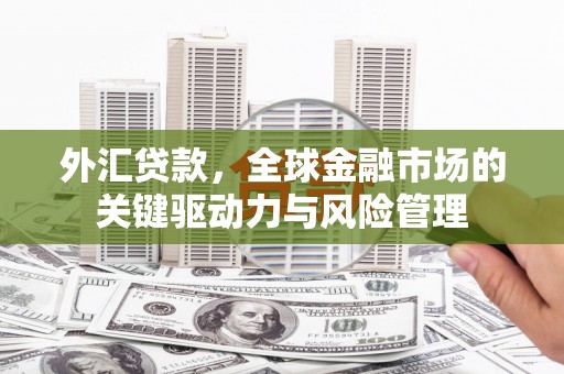 张家港外汇贷款，全球金融市场的关键驱动力与风险管理