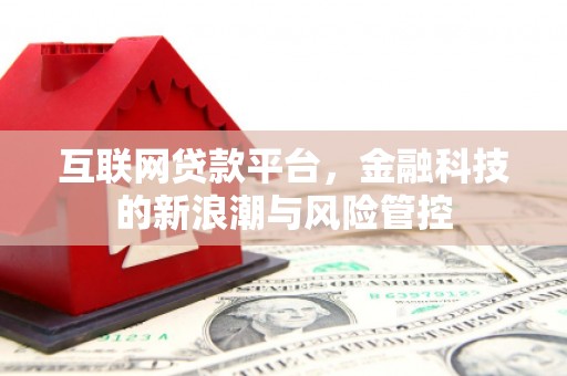 张家港互联网贷款平台，金融科技的新浪潮与风险管控