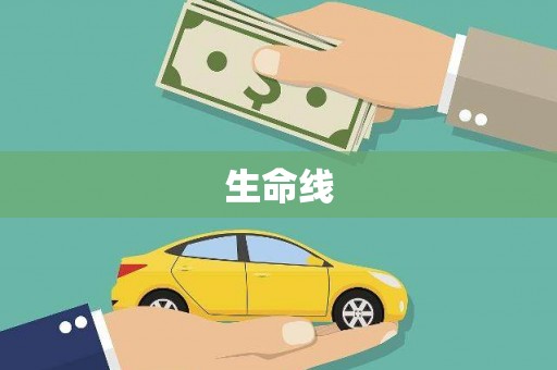 张家港生命线