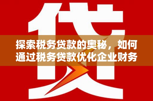 张家港探索税务贷款的奥秘，如何通过税务贷款优化企业财务