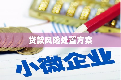 张家港贷款风险处置方案
