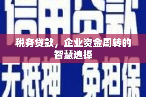 张家港税务贷款，企业资金周转的智慧选择