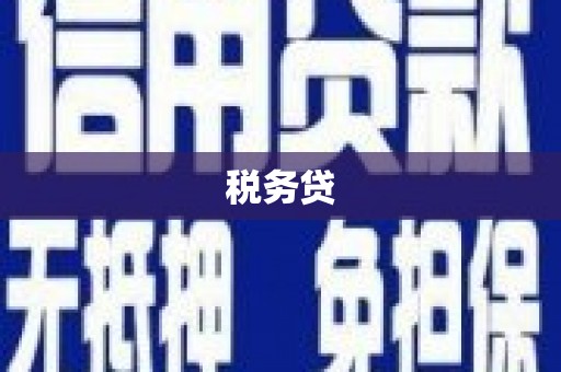 张家港税务贷