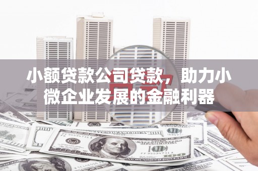 张家港小额贷款公司贷款，助力小微企业发展的金融利器