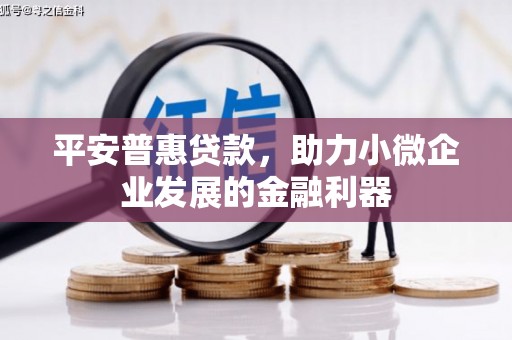 张家港平安普惠贷款，助力小微企业发展的金融利器
