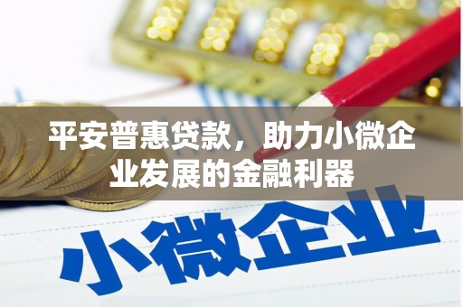 张家港平安普惠贷款，助力小微企业发展的金融利器