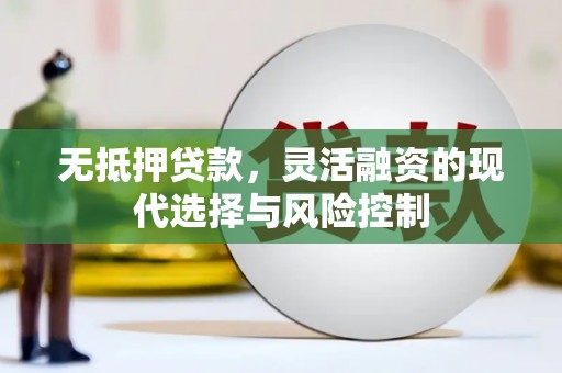 张家港无抵押贷款，灵活融资的现代选择与风险控制