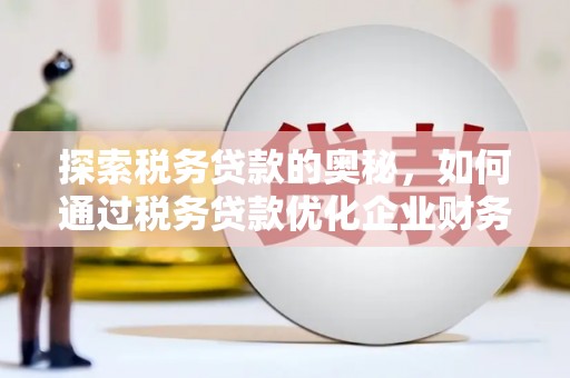 张家港探索税务贷款的奥秘，如何通过税务贷款优化企业财务