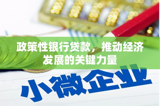 张家港政策性银行贷款，推动经济发展的关键力量