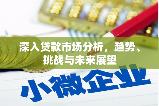 张家港深入贷款市场分析，趋势、挑战与未来展望