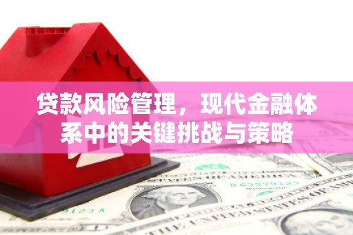 张家港贷款风险管理，现代金融体系中的关键挑战与策略