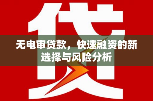 张家港无电审贷款，快速融资的新选择与风险分析