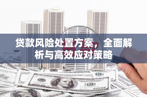 张家港贷款风险处置方案，全面解析与高效应对策略