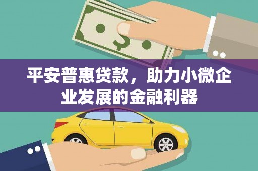 张家港平安普惠贷款，助力小微企业发展的金融利器