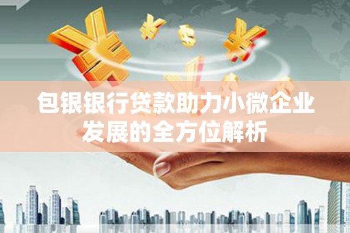 张家港包银银行贷款助力小微企业发展的全方位解析