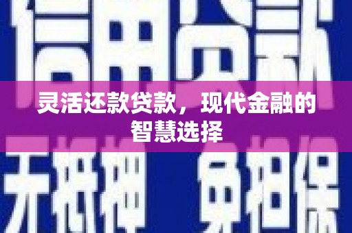 张家港灵活还款贷款，现代金融的智慧选择
