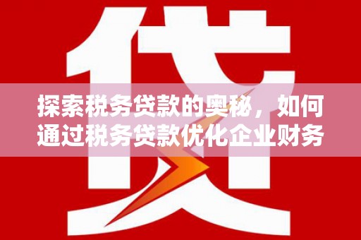张家港探索税务贷款的奥秘，如何通过税务贷款优化企业财务
